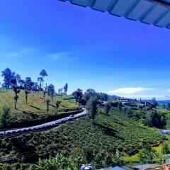 RIVERVIEW HOMESTAy