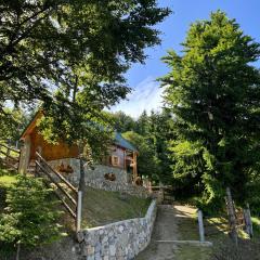 Cottage Under the Tresnjevik