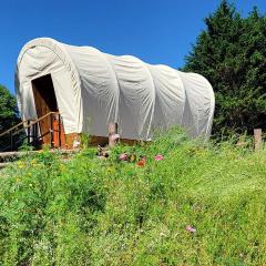 Covered Wagons Hill Camp - WAGON 2