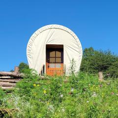 Covered Wagons Hill Camp - WAGON 3