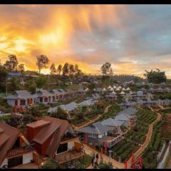 Chenfong Rakthai Resort-ไร่ชาเฉินฟงรีสอร์ท
