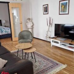 Entire private 2 rooms apartment in city center of Malmö close to Copenhagen