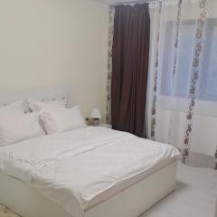 Apartament Teo