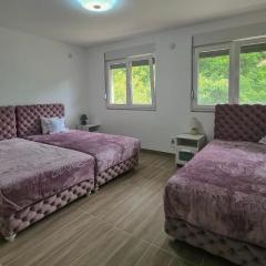 Apartmani Sumska Kraljica