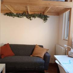 Petit Mignon - Hypercentre Toulouse