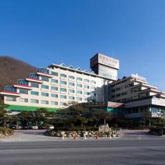 Danyang tourist hotel Edelweiss