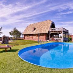 Nice Home In Popovaca With Jacuzzi