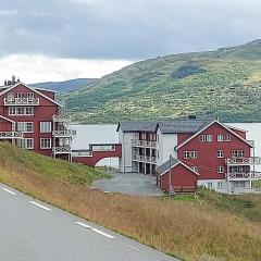 Awesome Apartment In Tyinkrysset
