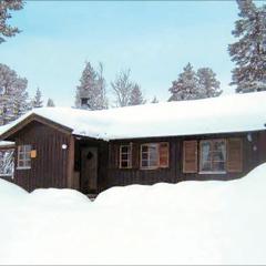 Gorgeous Home In Särna With Kitchen