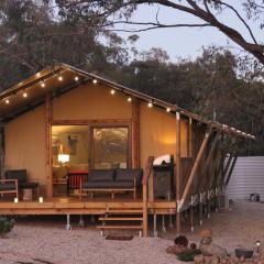 the YellowBoxWood Heathcote - Echidna Ridge and Emu Valley Tents x 2