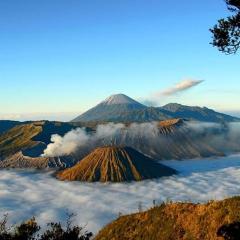 gigafa homestay