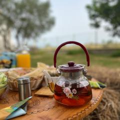 Lake shkodra