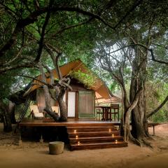 Leopard Reach Yala by Seven Angels