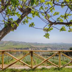 La Terrazza sul Vigneto