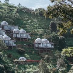 Damar Langit Resort
