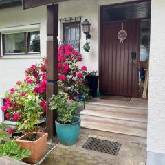 Ferienwohnung Panorama