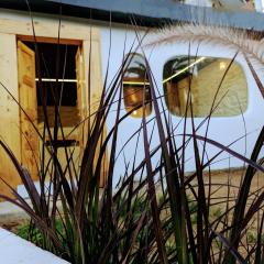 Cob House