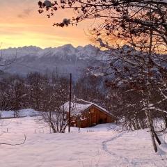 Chalet Le Rosier