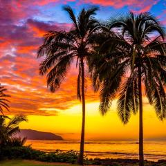 Charming Beach Apartment Your Hawaiian Getaway