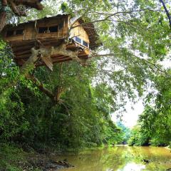 Kumbuk Tree House