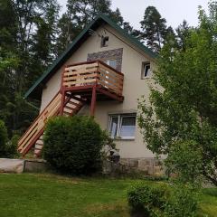 Apartmán u lesa