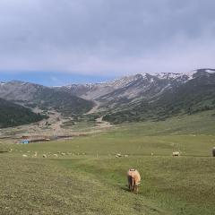 Gulmarg Capsule hut