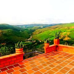Villa sasa