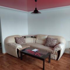 Apartment On Pribuzhskaya 2