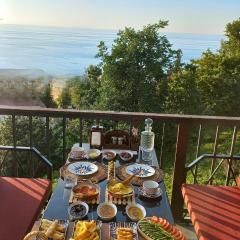 Bungaport Luxury Bungalows&Suits