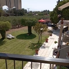 Olive mare Holidays