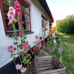 Fridfullt sommarhus mitt på Österlen