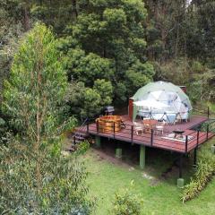 MAUNA Glamping