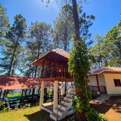 Cabañas y Mirador El Pericón