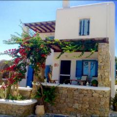 Beautiful Traditional Apt in Ano Mera Mikonos