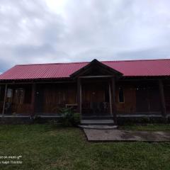 Dj wood cabin