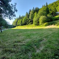 This is only meadow