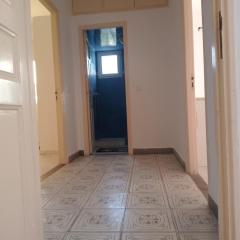 ICE Home