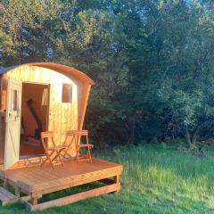 Shepherds Hut on Alpaca and working farm