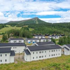 Rymlig och bekväm lägenhet, Fjällterrassen Lofsdalen