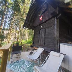 Chalet savoyard "le Sapinet"