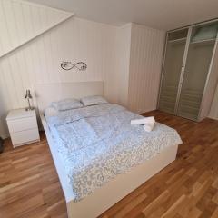 Aadarsh Villa rom3, 10 min fra Oslo airport