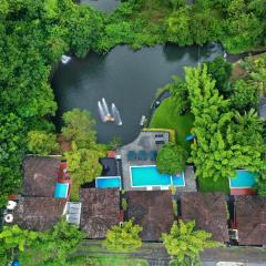 Athirapally Green Trees