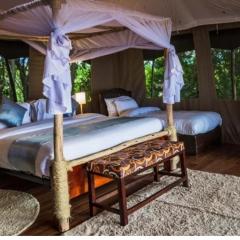 Luxurious haven maasai mara safari camp in kenya