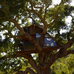 Tree house da Lage