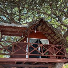 Casa del Árbol Barra la Saladita