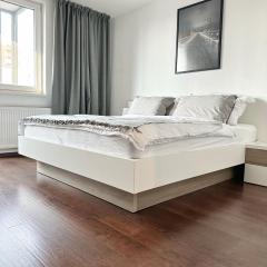 Comfy Stay Apartment