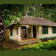 Coffee Camp Home Stay with Tree house