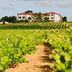 Château au milieu du vignoble avec piscine à 10 mn des plages