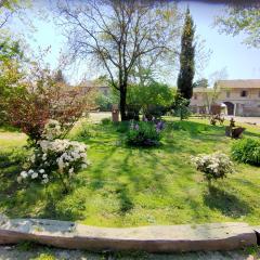 Podere Ronchetto Agriturismo