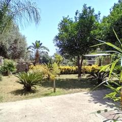 B&B Carpe Diem Domus
